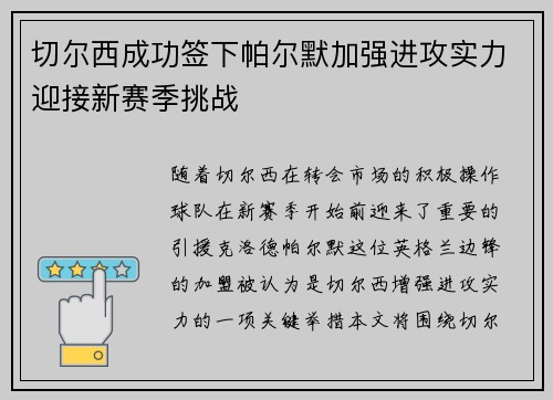 切尔西成功签下帕尔默加强进攻实力迎接新赛季挑战